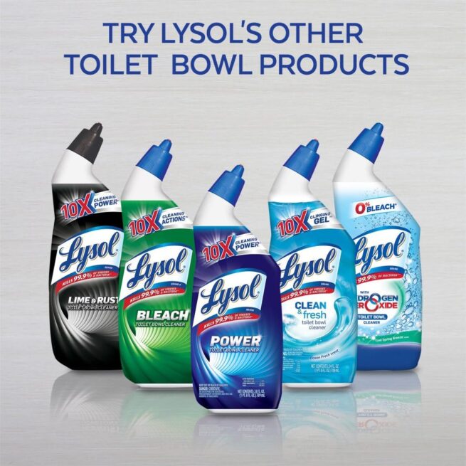 Lysol Toilet Bowl Cleaner Gel - 24oz, Forest Rain Scent, Stain Removal