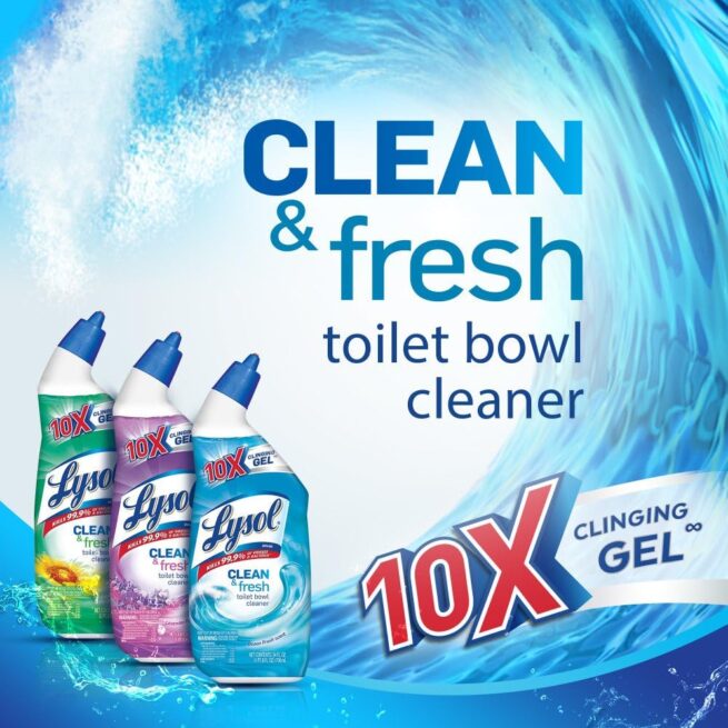 Lysol Toilet Bowl Cleaner Gel - 24oz, Forest Rain Scent, Stain Removal