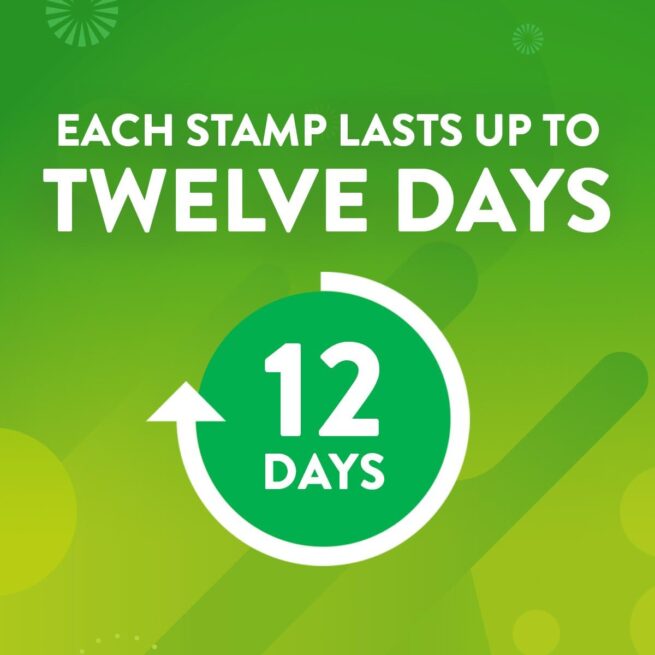 Scrubbing Bubbles Toilet Gel Stamps: Rainshower Scent, 1 Dispenser + 6 Stamps