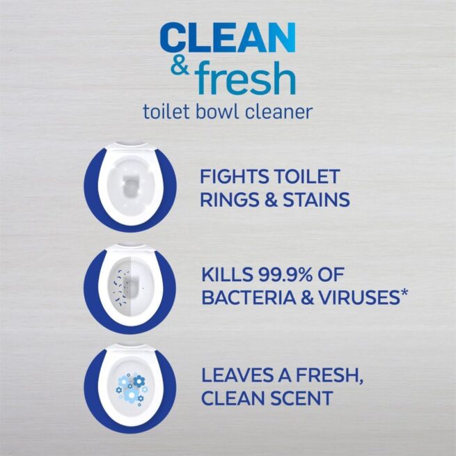 Lysol Toilet Bowl Cleaner Gel - 24oz, Forest Rain Scent, Stain Removal