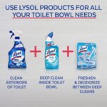 Lysol Toilet Bowl Cleaner Gel - 24oz, Forest Rain Scent, Stain Removal