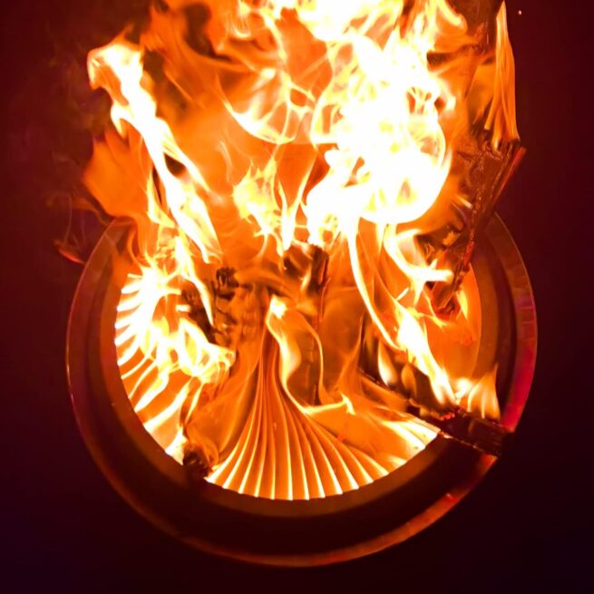 19" Stainless Steel Fire Pit with Stand - Portable, Smokeless Bonfire for Patio and Camping