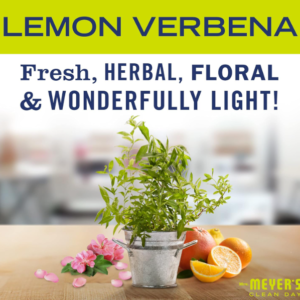 MRS. MEYER'S CLEAN DAY Toilet Bowl Cleaner, Lemon Verbena, 24 oz
