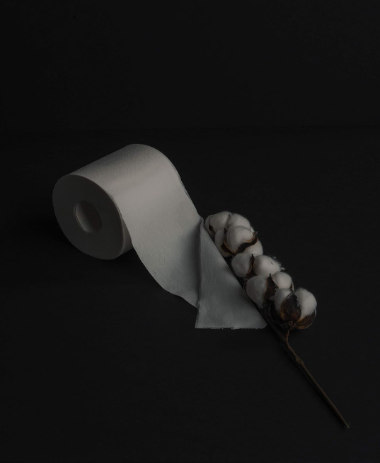 LUXSOFT Premium 3-Ply Luxury Toilet Paper 6-Pack - Quick Dissolve - White